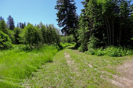 Homesite for sale in Pend Oreille County, Washington