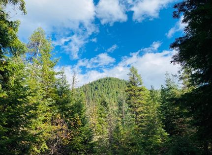 Land for sale in Sanders County, Montana