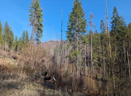 Land for sale in Stevens County, Washington