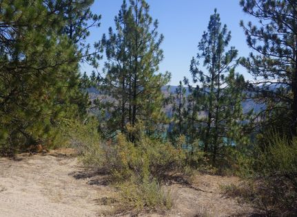 Land for sale in Lincoln County, Washington