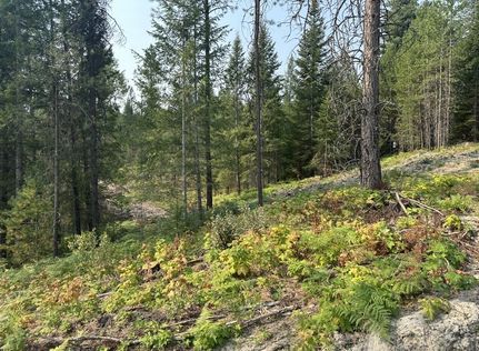 Land for sale in Bonner County, Idaho