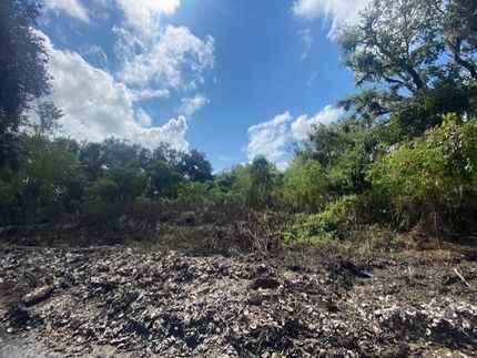 Land for sale in Saint Bernard Parish, Louisiana