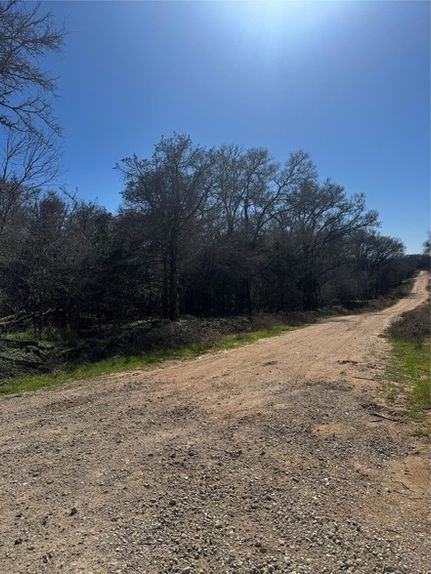 Land for sale in Bastrop County, Texas