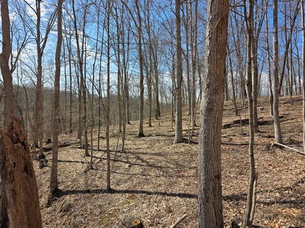 Land for sale in Meigs County, Ohio