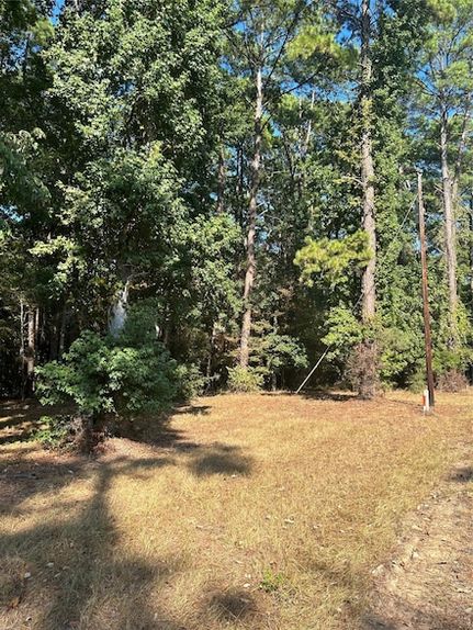 Land for sale in Polk County, Texas