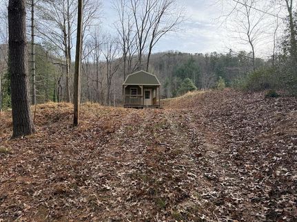 Undeveloped Land for sale in Macon County, North Carolina