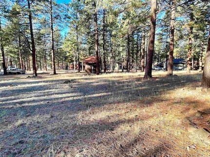 Land for sale in Lassen County, California