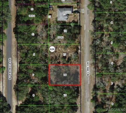 Undeveloped Land for sale in Citrus County, Florida