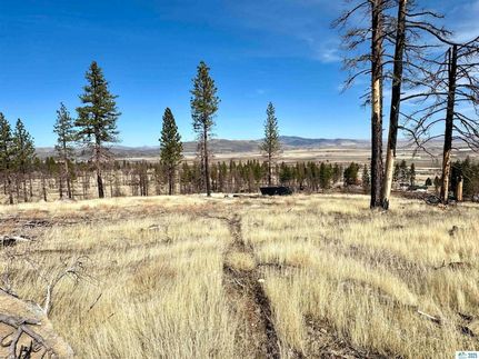 Land for sale in Lassen County, California