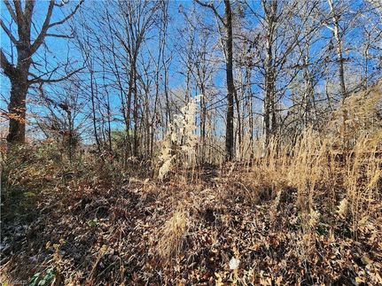 Land for sale in Wilkes County, North Carolina