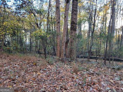 Homesite for sale in Gwinnett County, Georgia