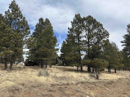 Homesite for sale in Colfax County, New Mexico