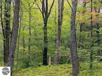 Land for sale in Wexford County, Michigan