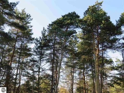 Land for sale in Grand Traverse County, Michigan