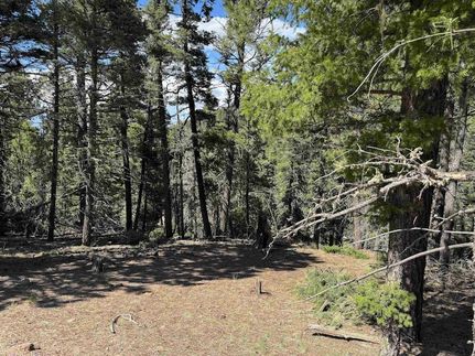 Land for sale in Colfax County, New Mexico