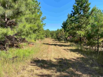 Undeveloped Land for sale in White County, Arkansas