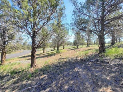 Land for sale in Siskiyou County, California