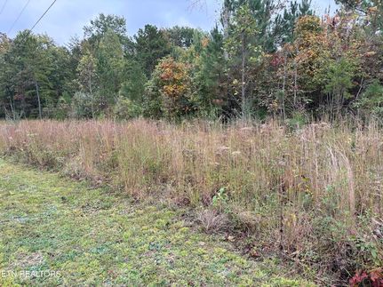 Homesite for sale in Scott County, Tennessee