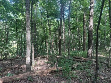 Land for sale in Newton County, Arkansas