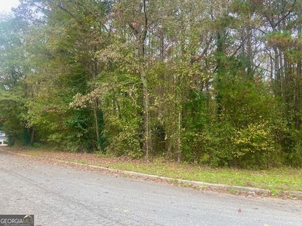 Land for sale in Henry County, Georgia