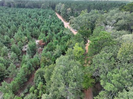 Land for sale in Polk County, Texas