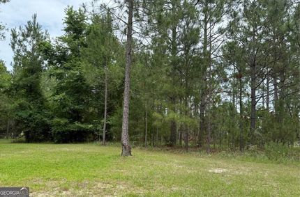 Land for sale in Toombs County, Georgia