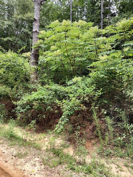 Land for sale in Pearl River County, Mississippi