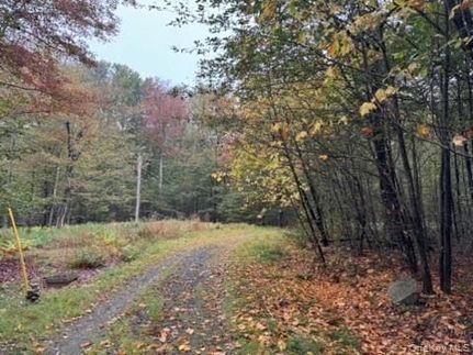 Land for sale in Sullivan County, New York