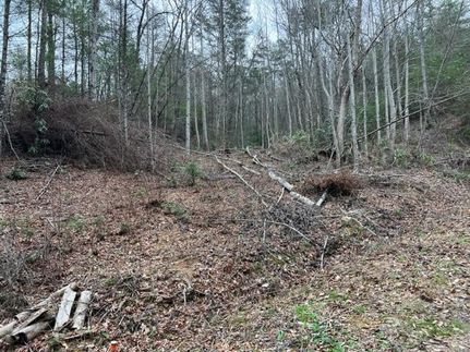 Land for sale in Sevier County, Tennessee