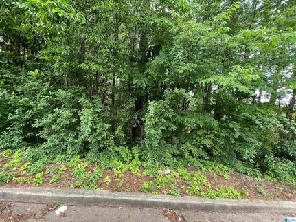 Land for sale in Tallapoosa County, Alabama