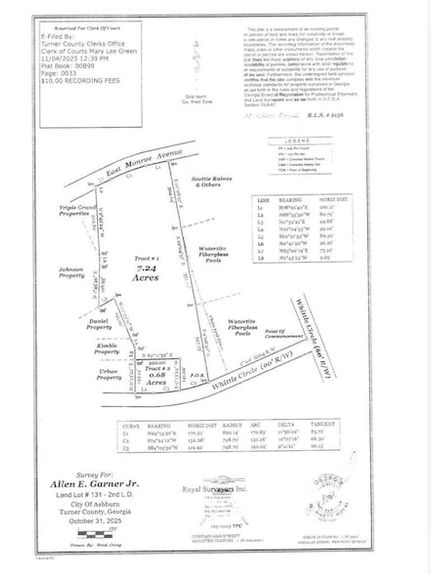 Land for sale in Turner County, Georgia