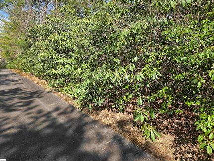 Land for sale in Greenville County, South Carolina