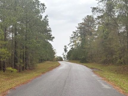 Homesite for sale in Decatur County, Georgia