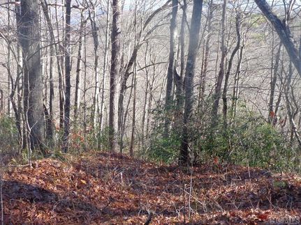 Land for sale in Jackson County, North Carolina