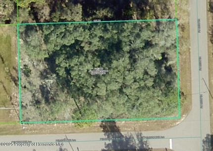 Undeveloped Land for sale in Hernando County, Florida