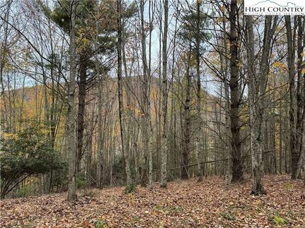 Land for sale in Watauga County, North Carolina