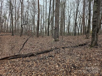 Land for sale in Polk County, North Carolina