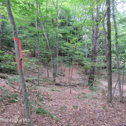 Land for sale in Saratoga County, New York