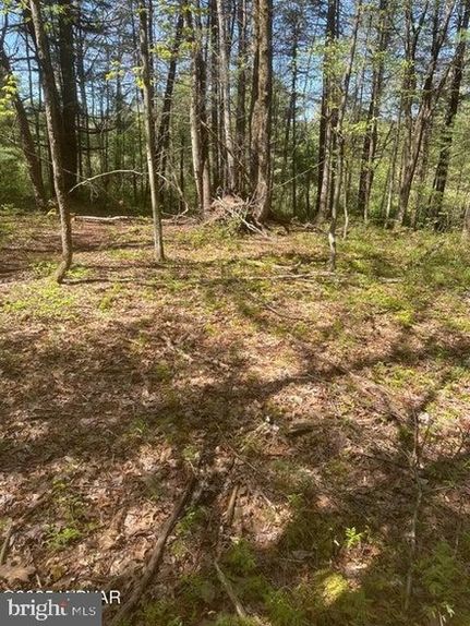 Land for sale in Clinton County, Pennsylvania
