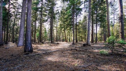Homesite for sale in Shasta County, California