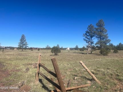 Homesite for sale in Navajo County, Arizona