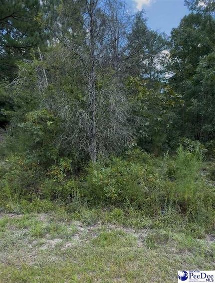 Land for sale in Chesterfield County, South Carolina