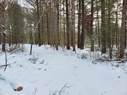 Land for sale in Newaygo County, Michigan