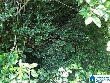 Land for sale in Jefferson County, Alabama