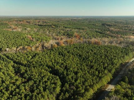Land for sale in Lincoln County, Georgia
