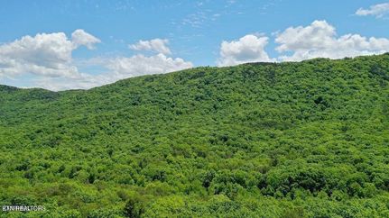 Land for sale in Blount County, Tennessee