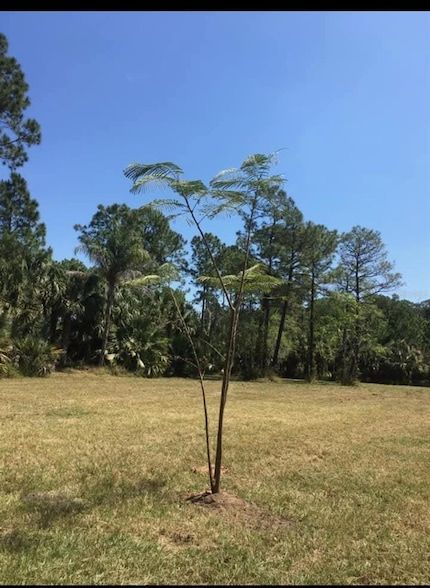 Land for sale in Osceola County, Florida