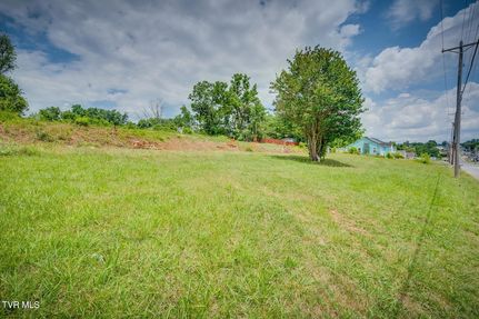 Undeveloped Land for sale in Greene County, Tennessee