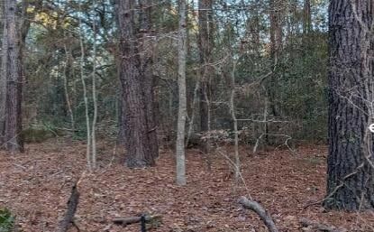 Land for sale in Charleston County, South Carolina