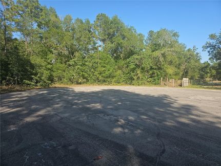 Undeveloped Land for sale in Hernando County, Florida
